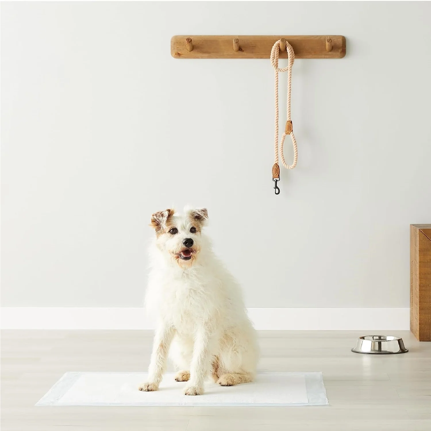 120pz Tappetini Igienici Traversine Cane Super Assorbenti 60x90cm con adesivo - immagine 3