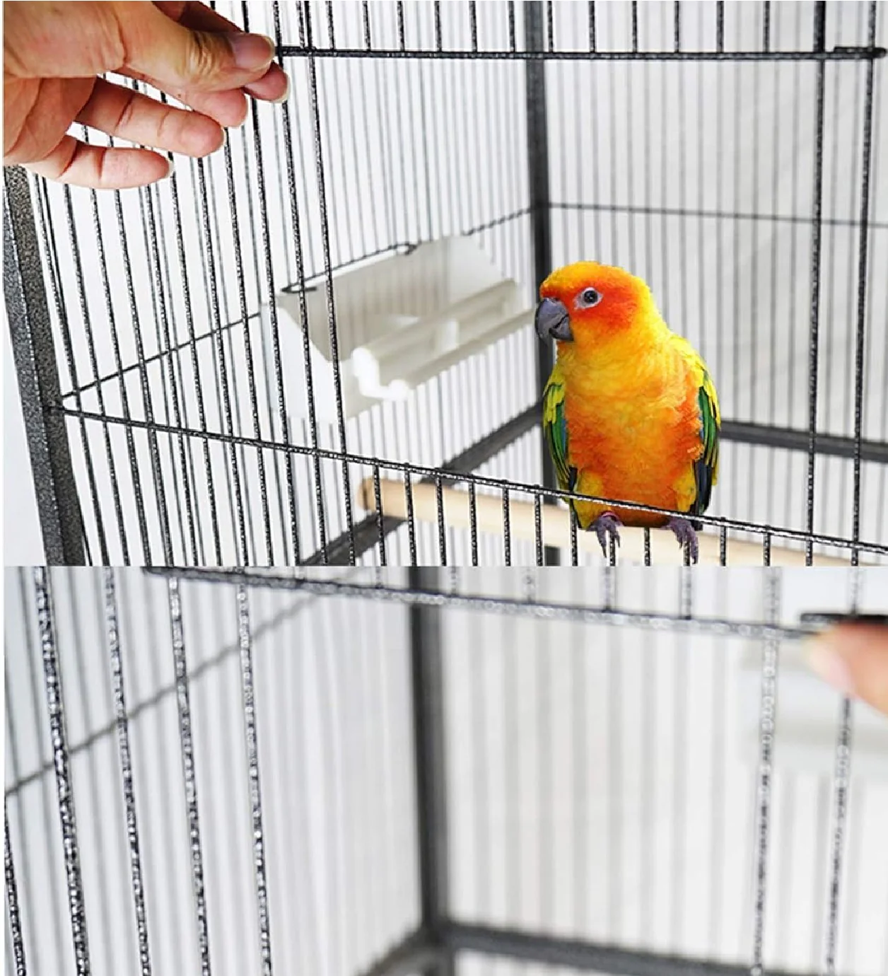 Voliera per Uccelli Pappagalli Canarini Parrocchetti 160cm Gabbia Grande Metallo - immagine 3