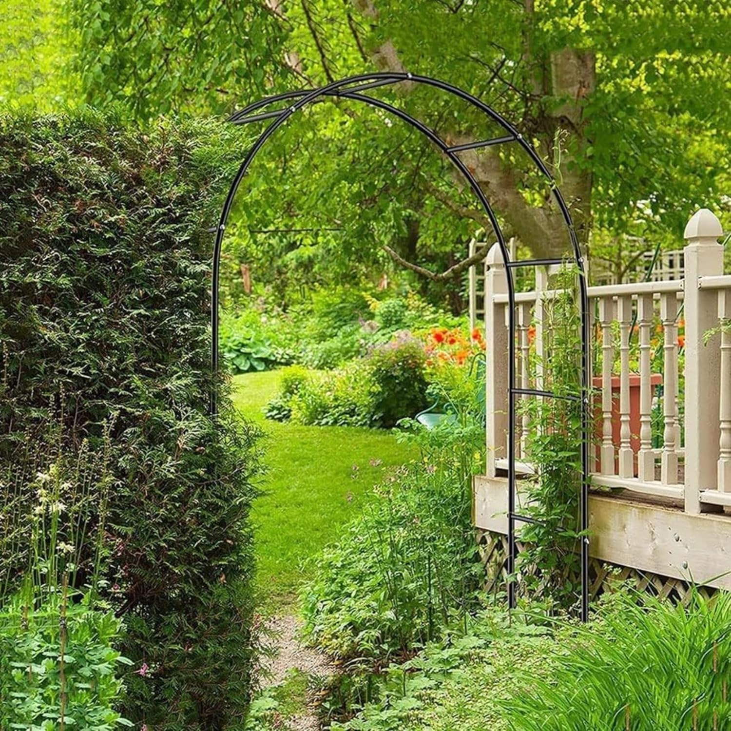 Arco in Ferro da Giardino per Piante Rampicanti Decorazione Terrazzo 140x240 cm - immagine 5