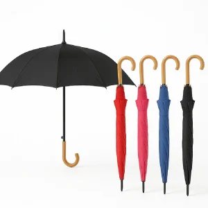 Kit 5 Ombrelli Automatici 8 Stecche Rinforzate Manico Curvo Uomo Donna Colori Misti