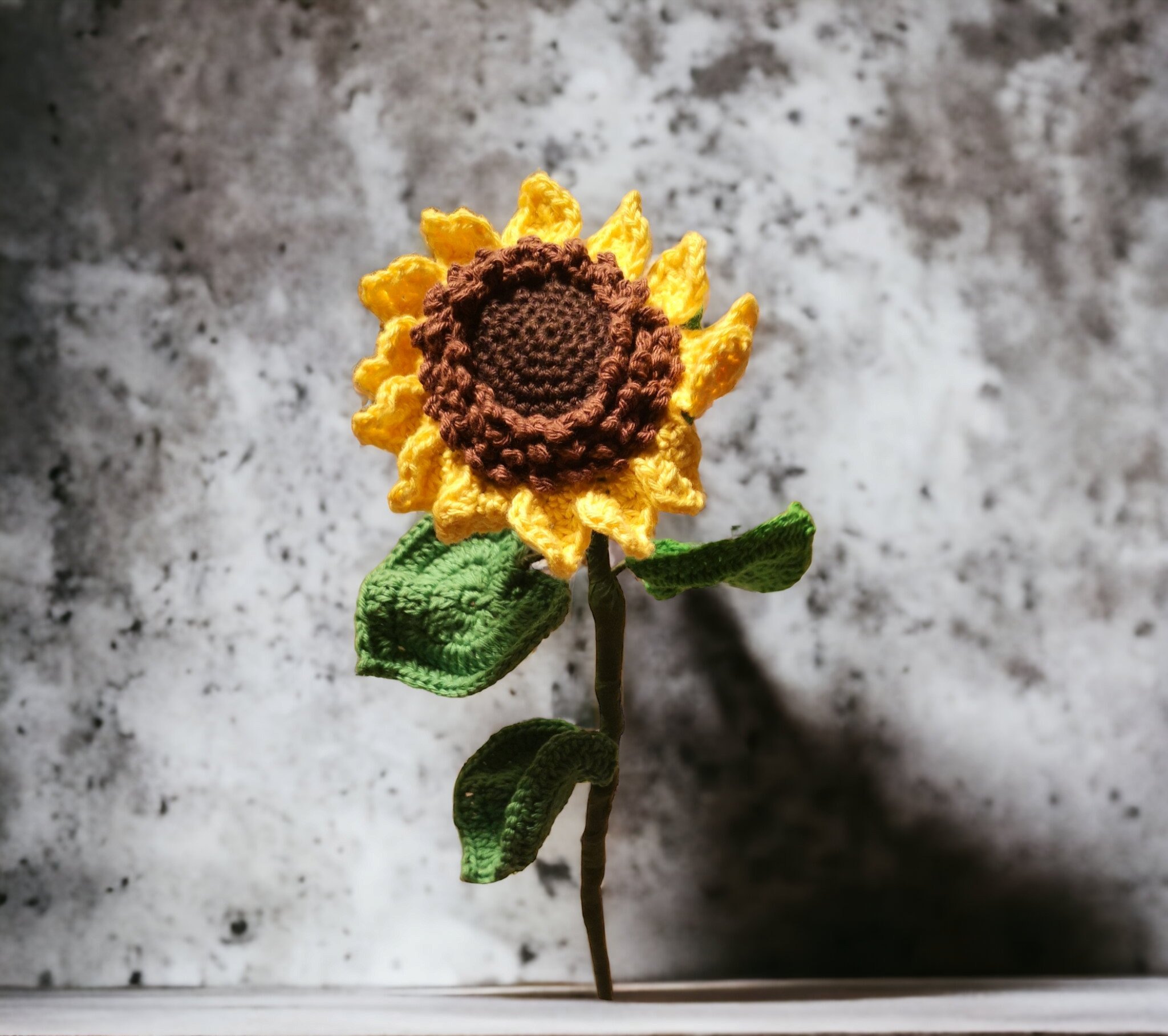 Girasole - immagine 2