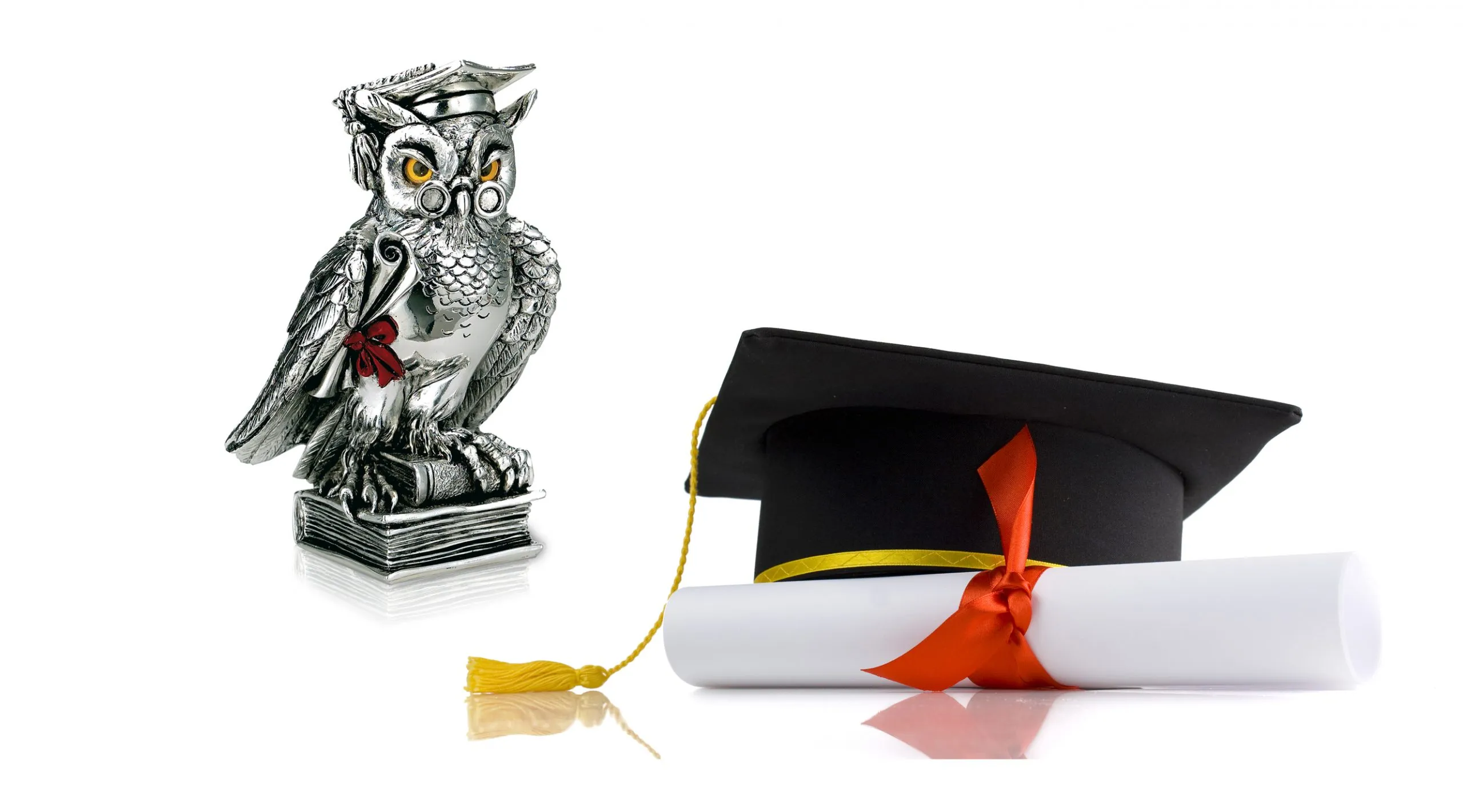 gufo laureato - immagine 2