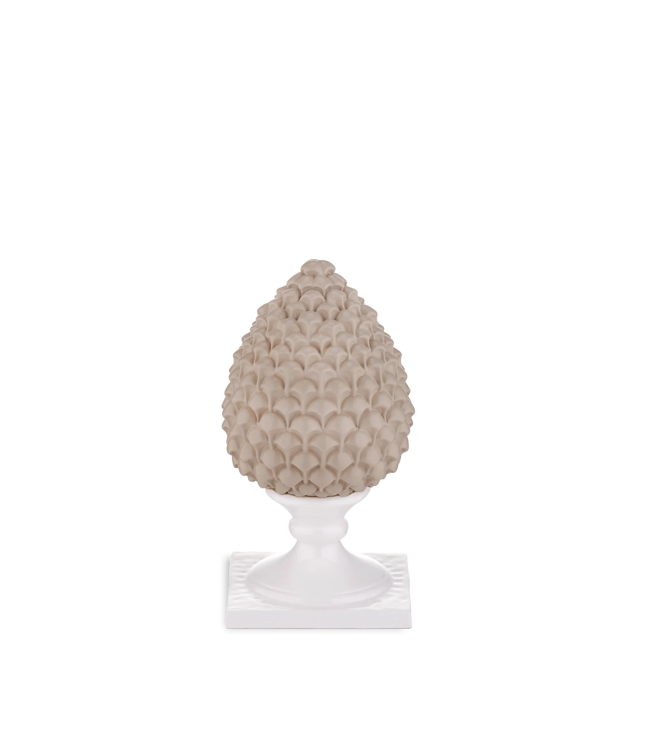 pigna tortora base bianca