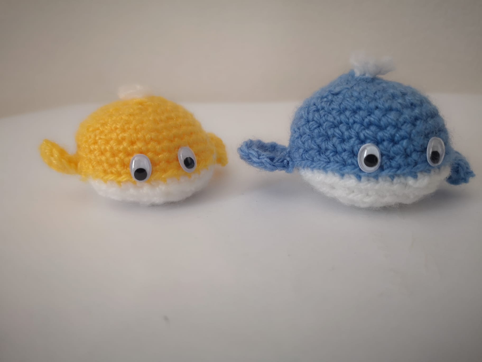 balene diversi colori