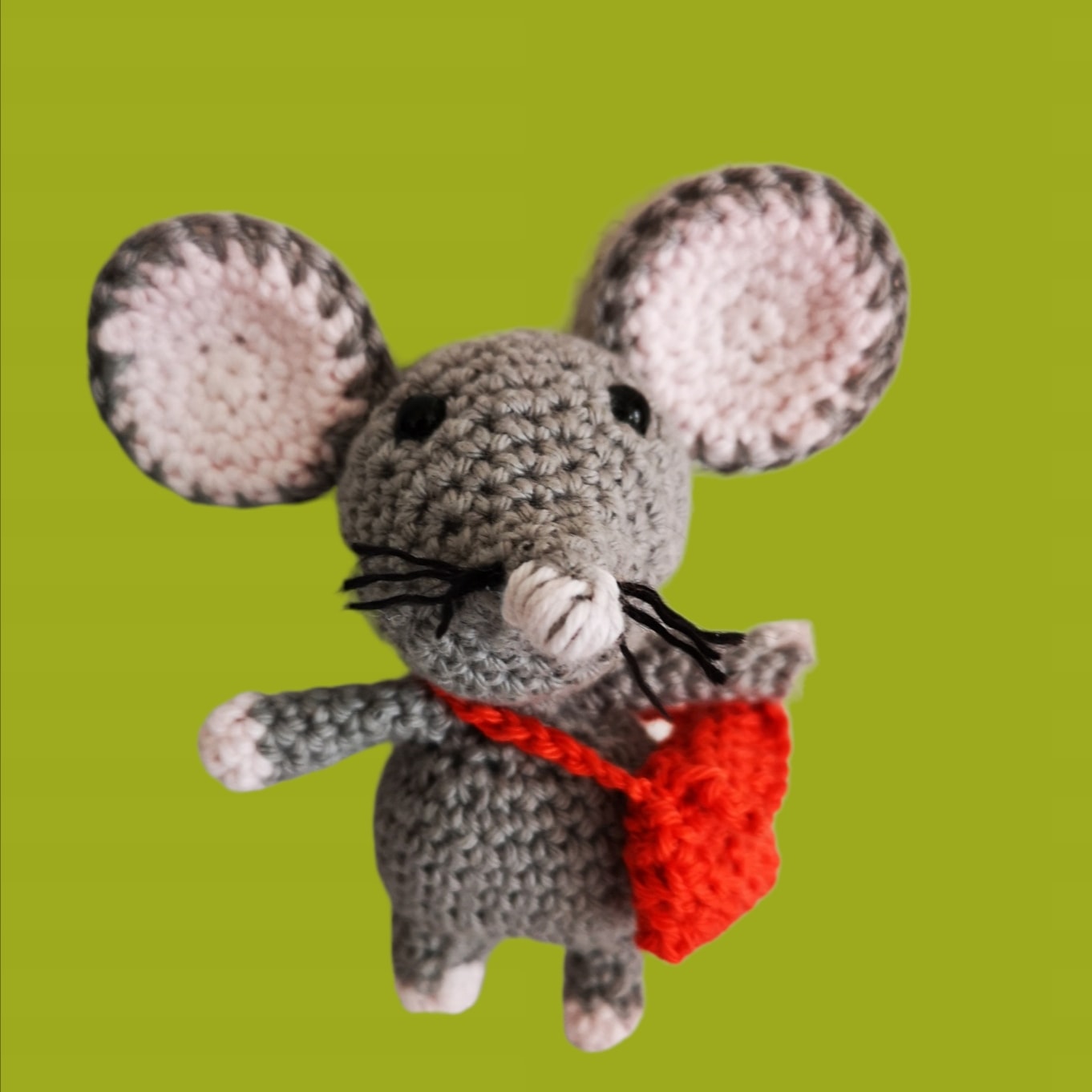 Topolino dei denti bianco o grigio - immagine 3