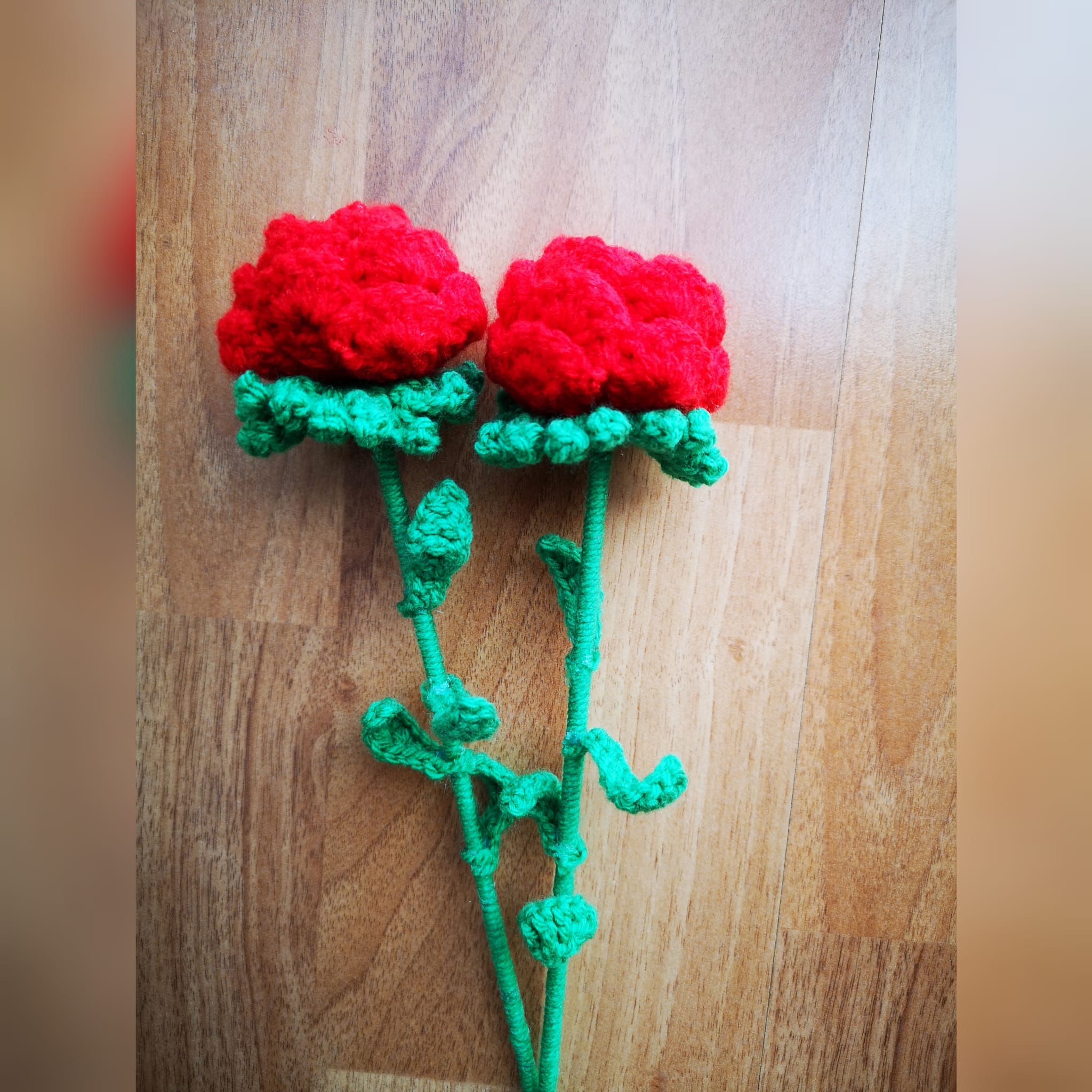 Rosa rossa - immagine 3